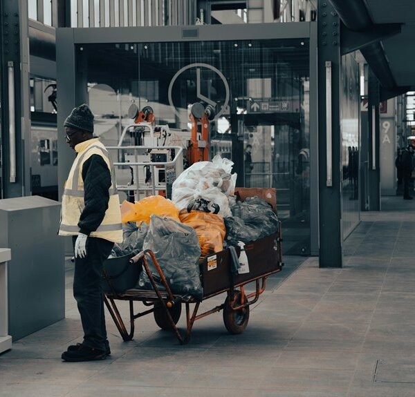 creative digital hub platform