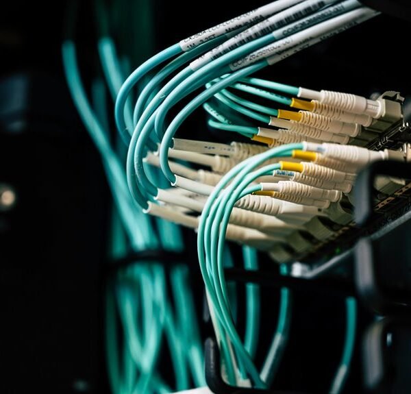 dynamic cloud suite online network 8556870290