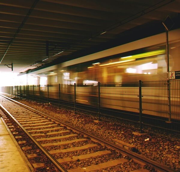 dynamic digital engine platform