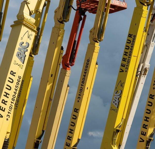 dynamic web engine 931225085